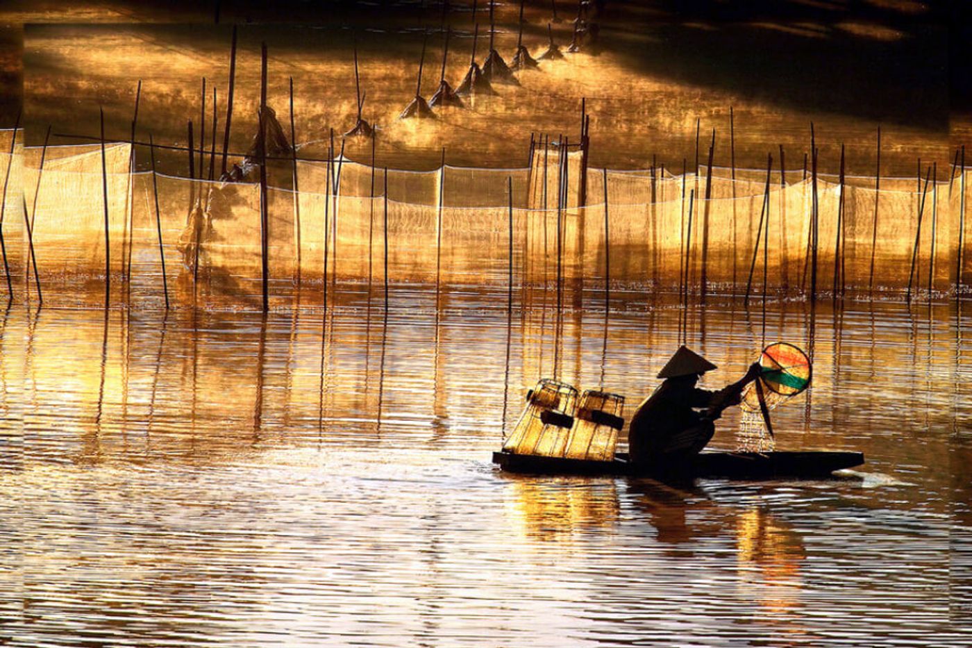 Admire the breathtaking Hoi An sunrise