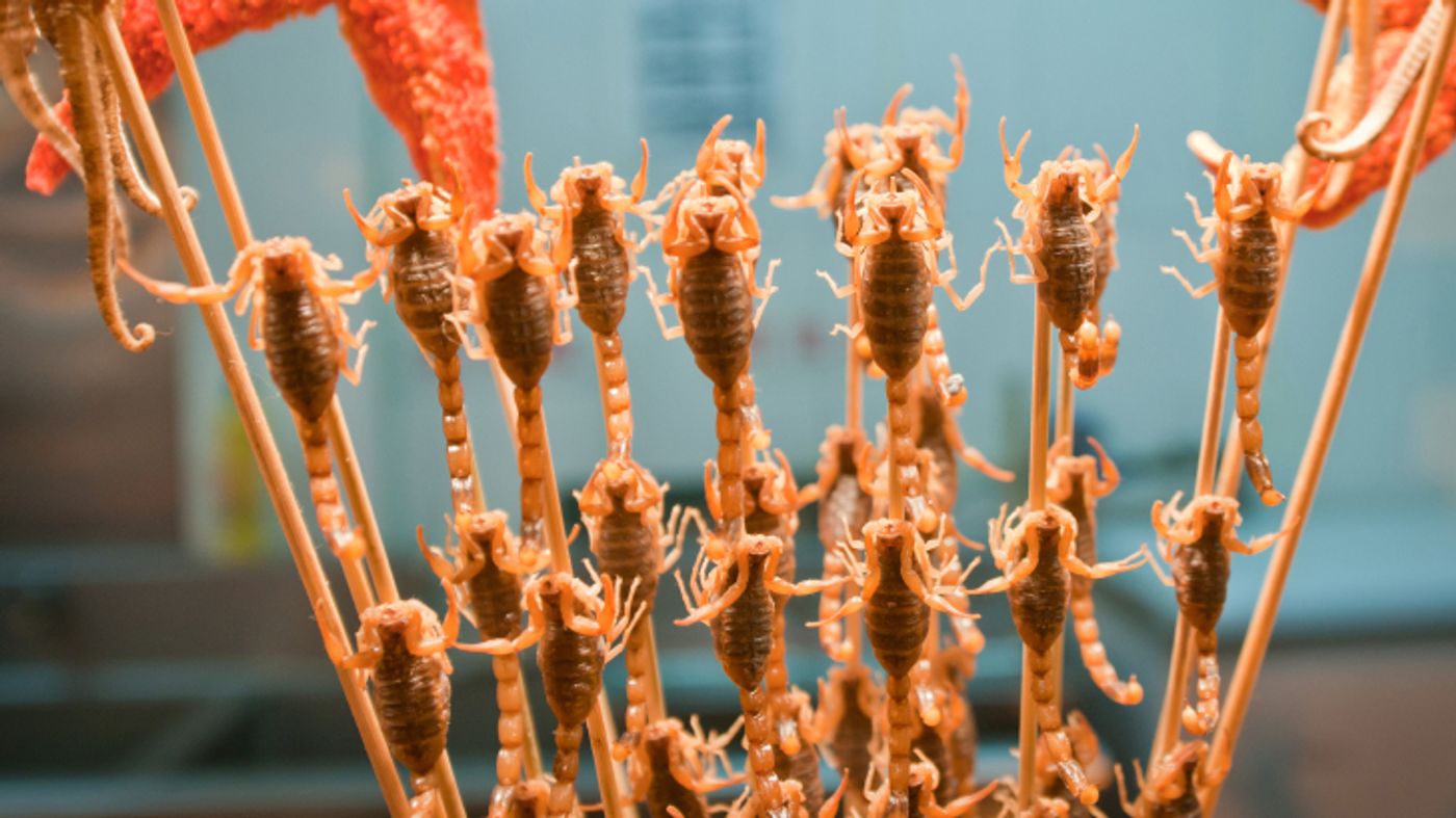 The weirdest foods to try in Cambodia