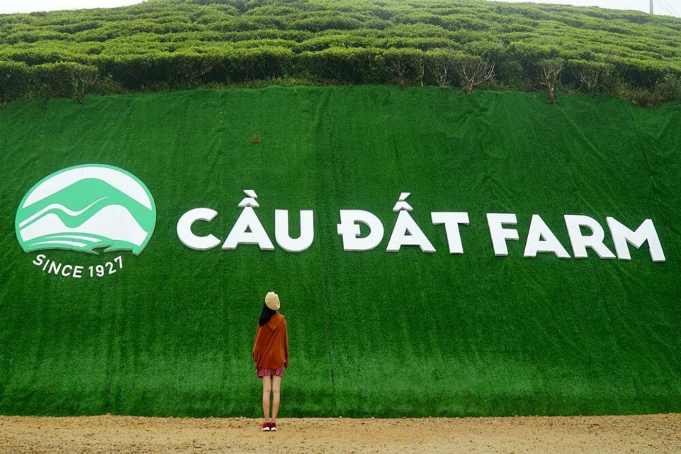 Cau Dat’s origin