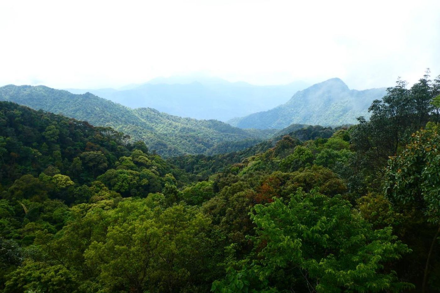 Bach Ma National Park