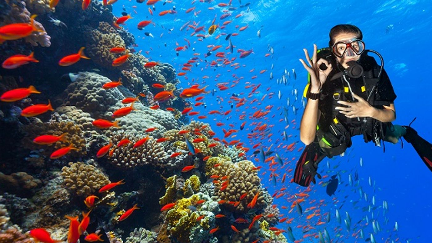 Best diving spots in Vietnam