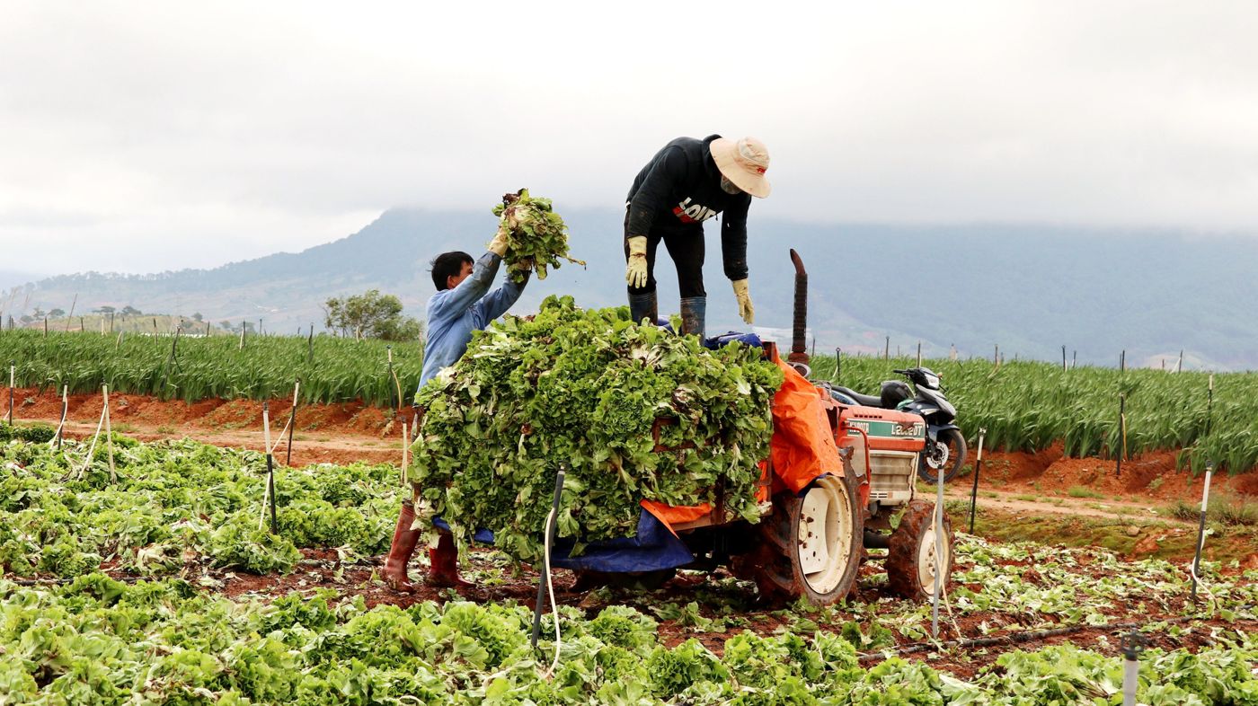 Da Lat