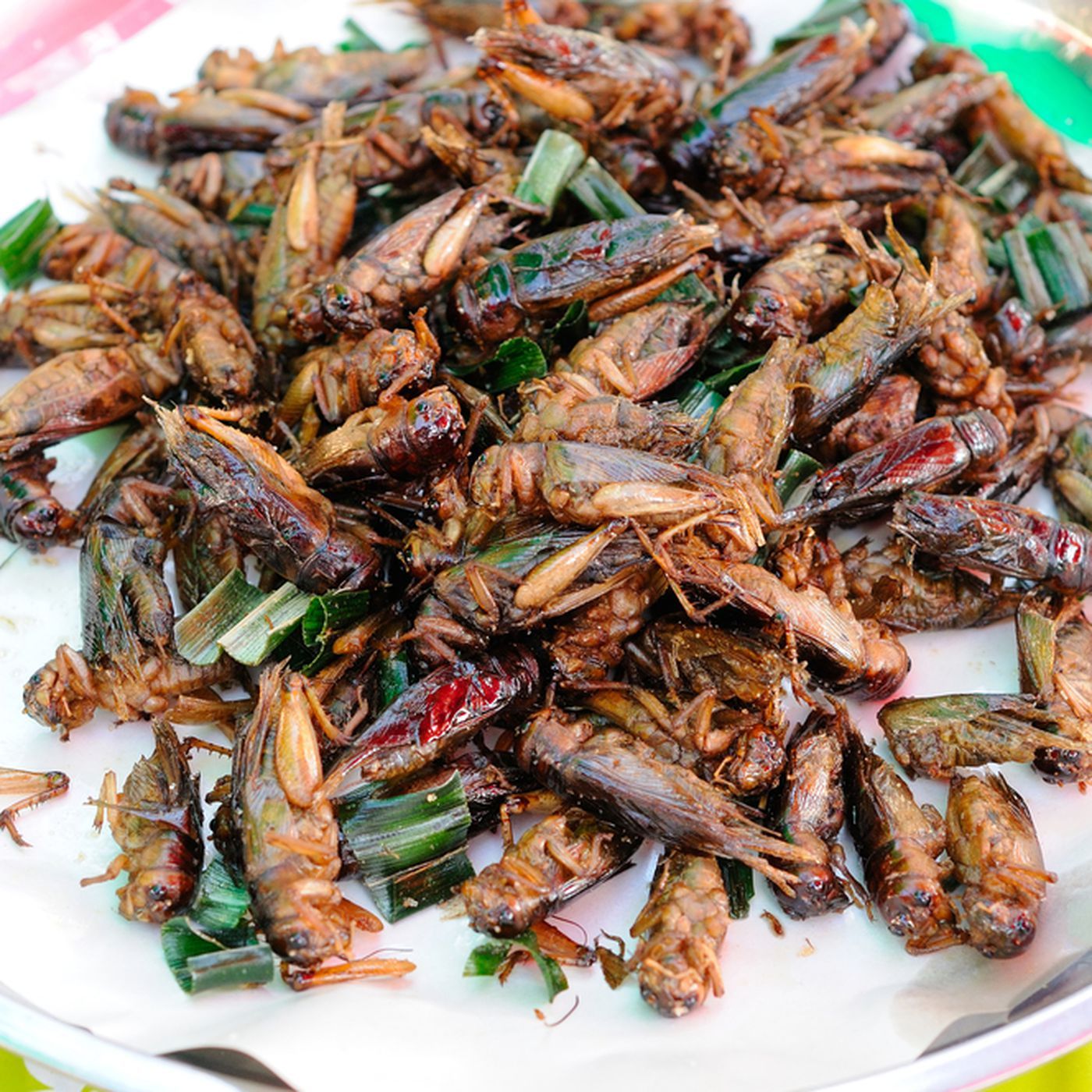 The weirdest foods to try in Cambodia