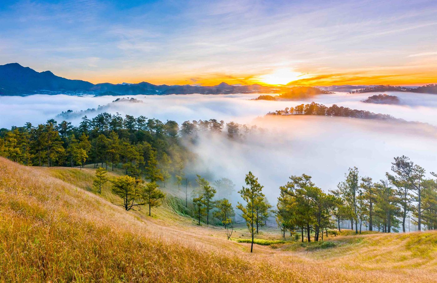 Thien Phuc Duc hill