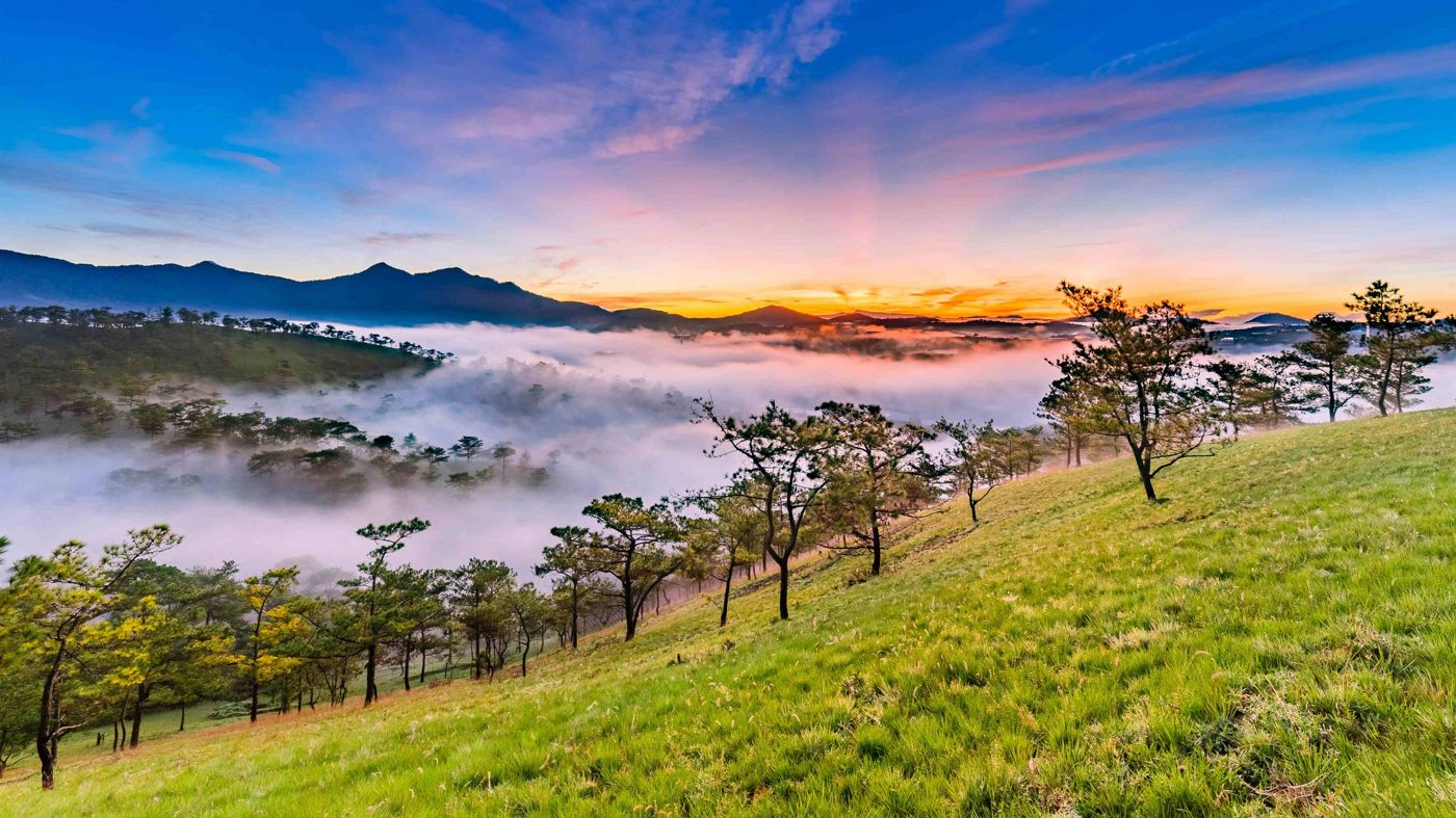 Check in at the most beautiful hills in Da Lat