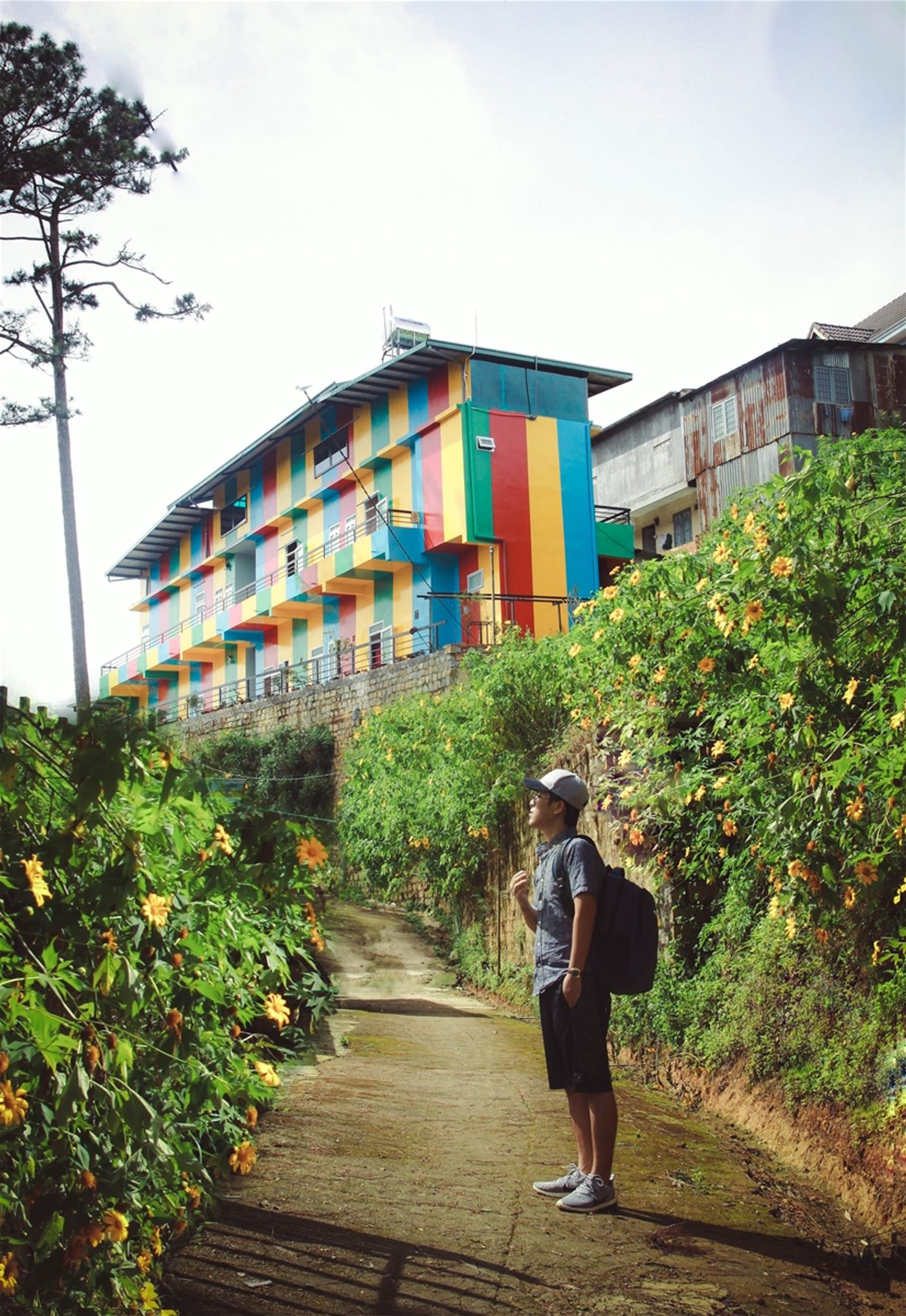 Explore 7 super cute homestays and hostels in Da Lat