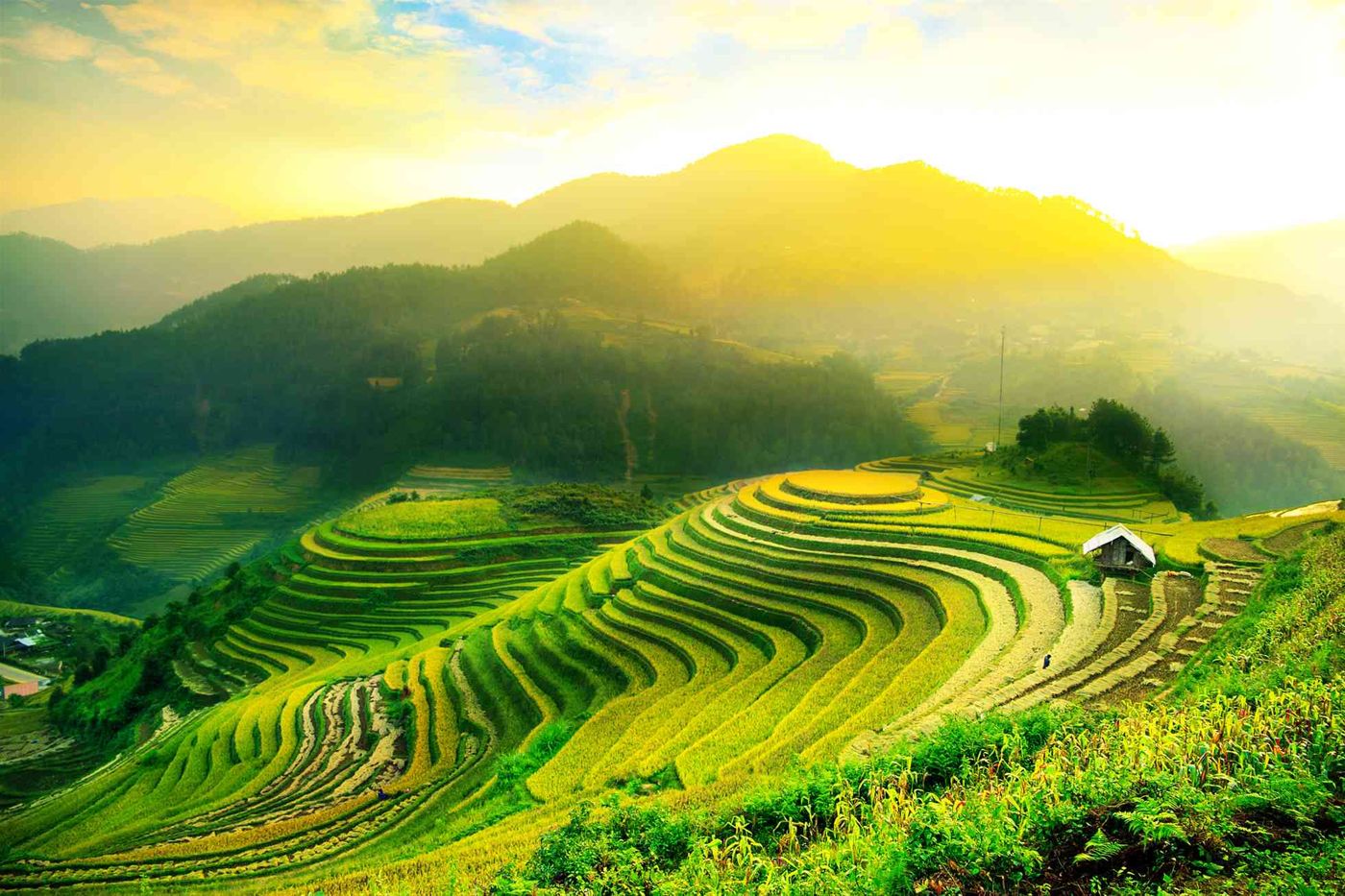 Mu Cang Chai