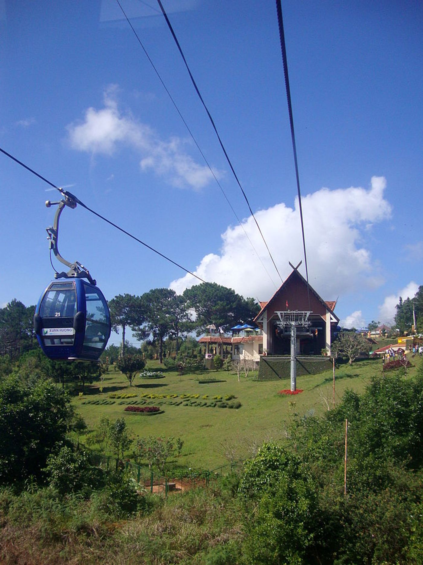 Robin hill