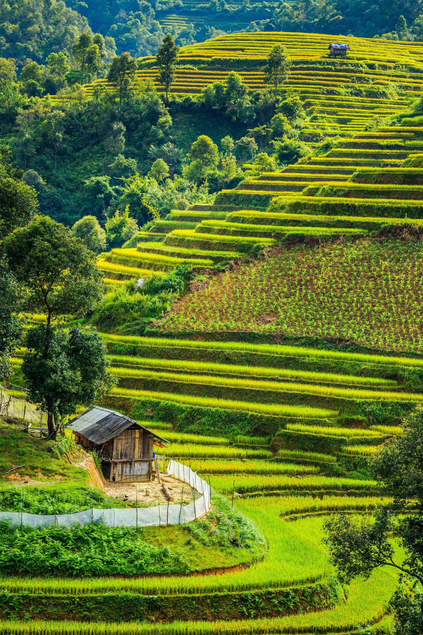 The reasons why you should visit Sapa once in your lifetime