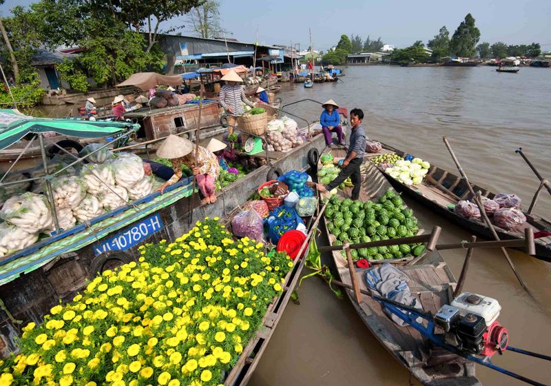 Popular place A day to visit Cai Rang Floating Market
