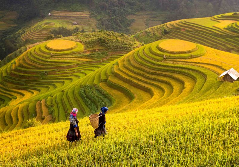 Popular place The reasons why you should visit Sapa once in your lifetime