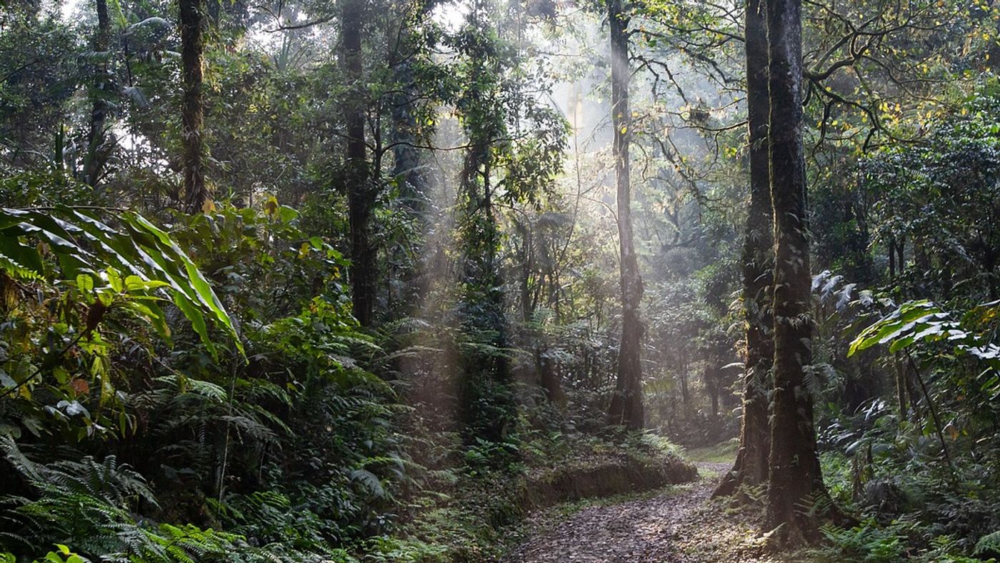 Lo Go-Xa Mat National Park: A Sanctuary of Biodiversity and History 