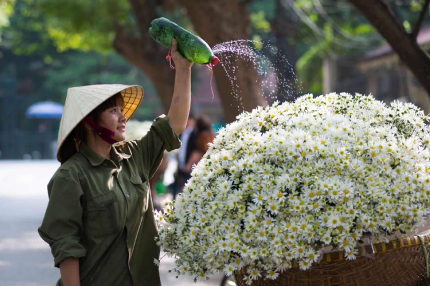 During the autumn season, one can witness the charming sight of flower peddler bikes adorned with a variety of blooms. Photo by Shutterstock