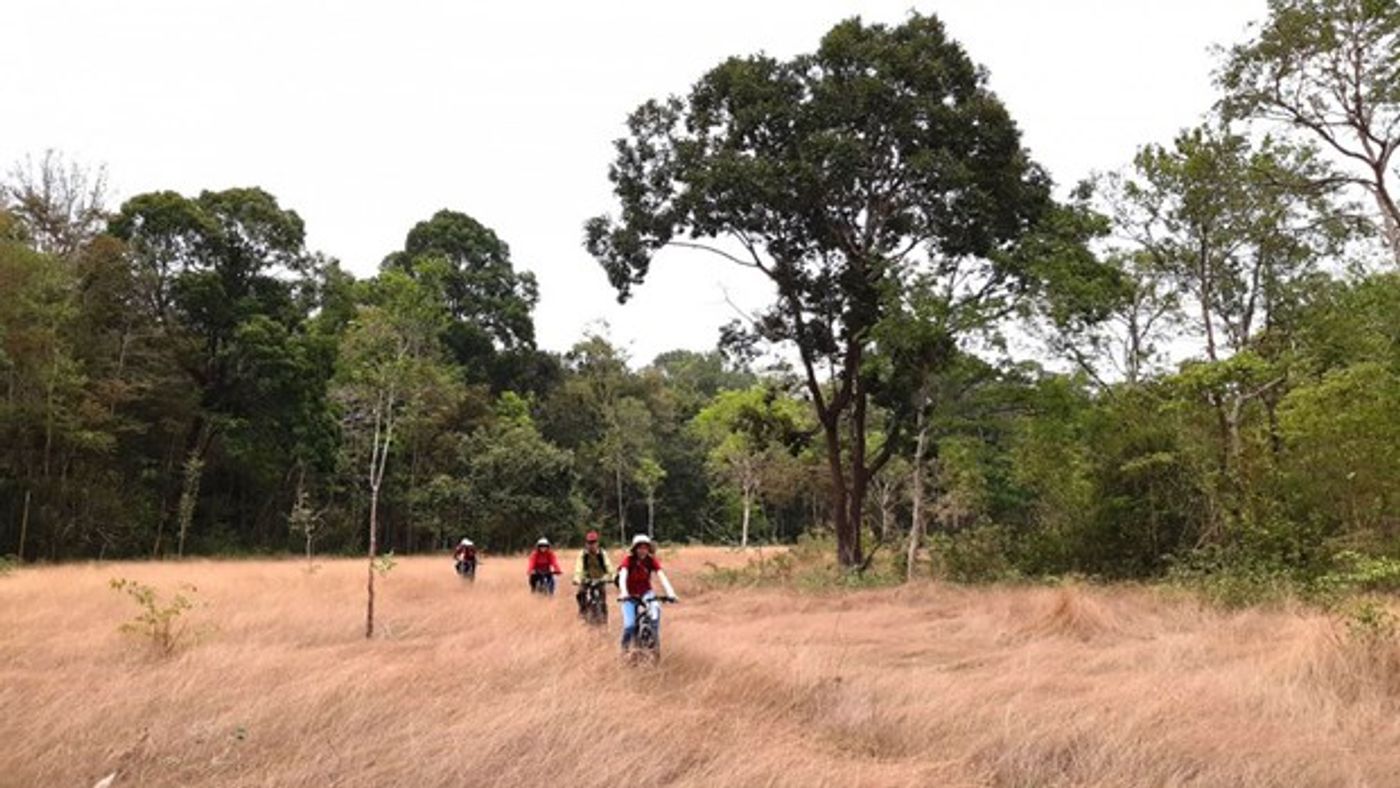 Tourists cycle at Lo Go-Xa Mat National Park