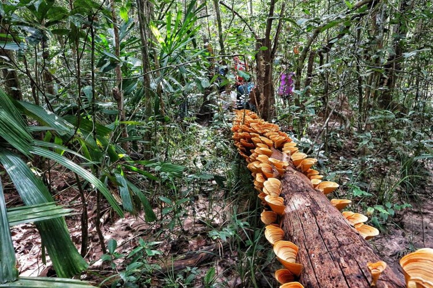 Immerse yourself in wild nature at Lo Go-Xa Mat National Park