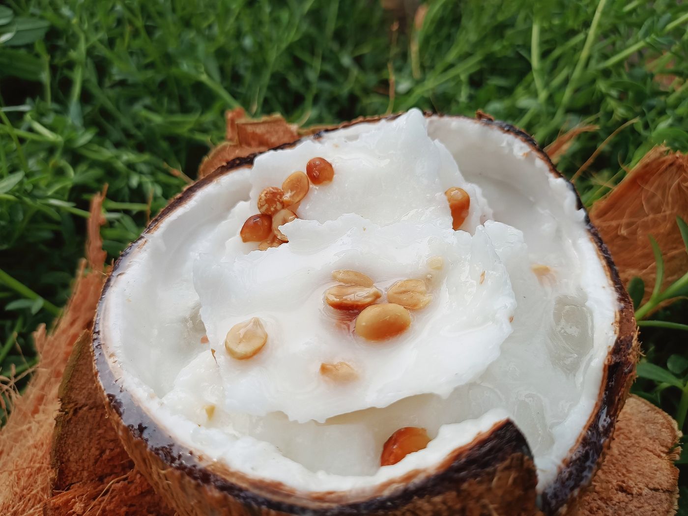 Sap Coconut
