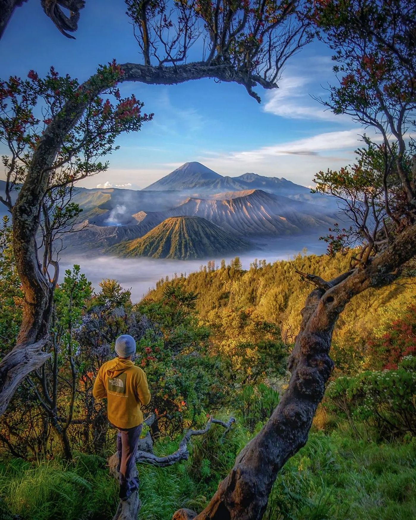 Bromo Tengger Semeru National Park, Indonesia. Credit: adityakurniawanpp