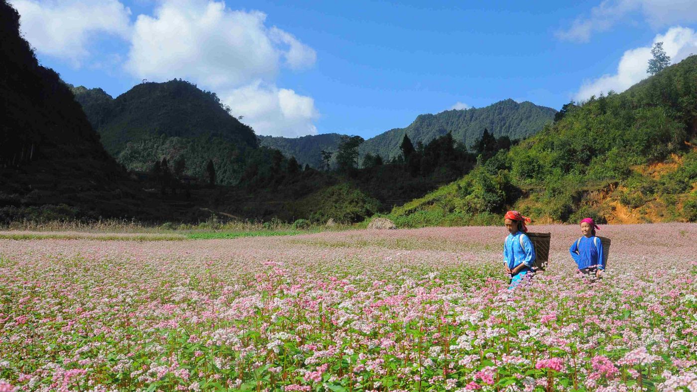 UNESCO Geopark Dong Van Plateau to implement overnight stay fees for tourists