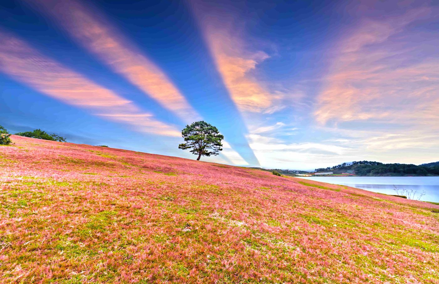 Da Lat