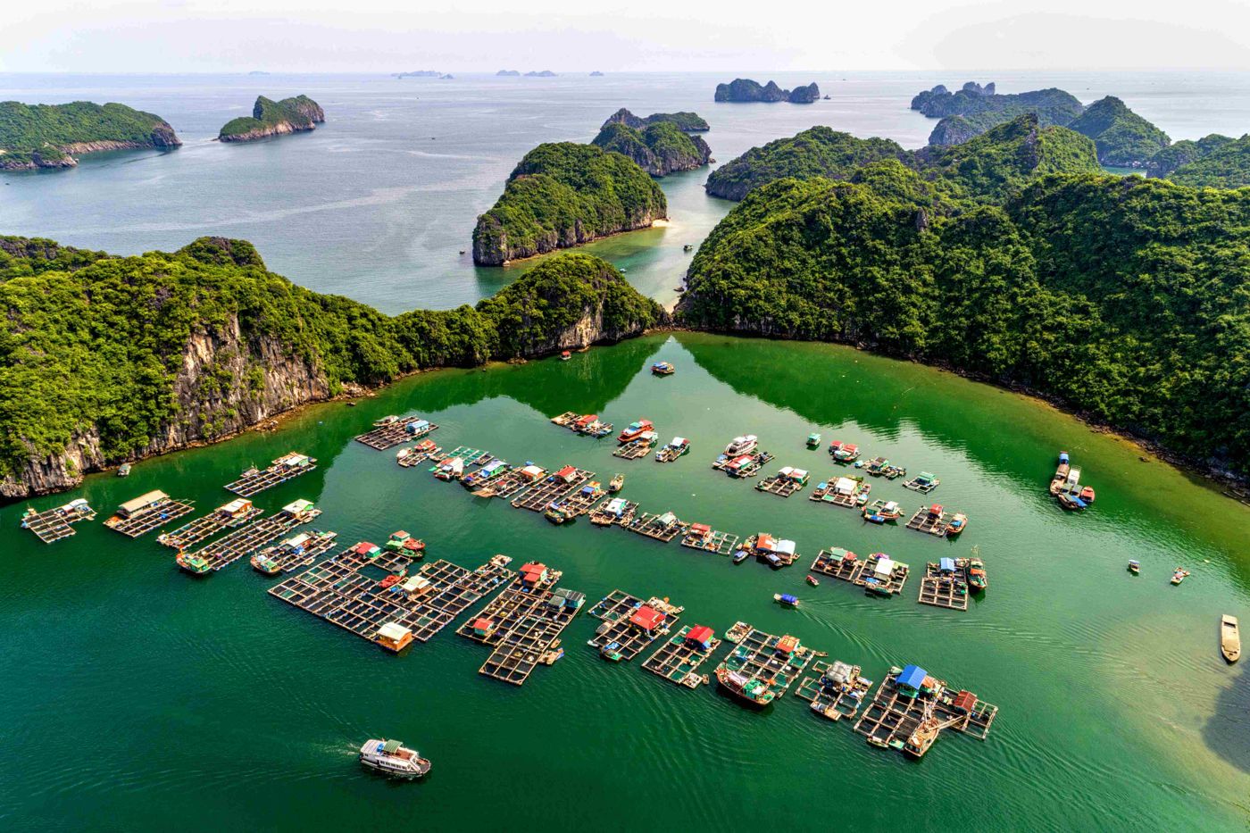 Cai Beo Floating Fishing Village