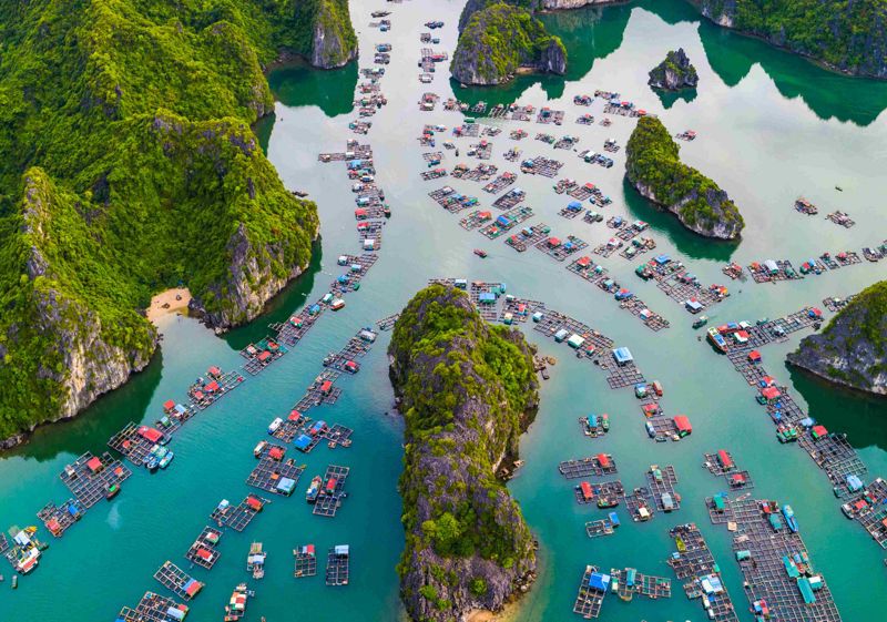 Lan Ha Bay Travel Guide 2023 -  All you need to know