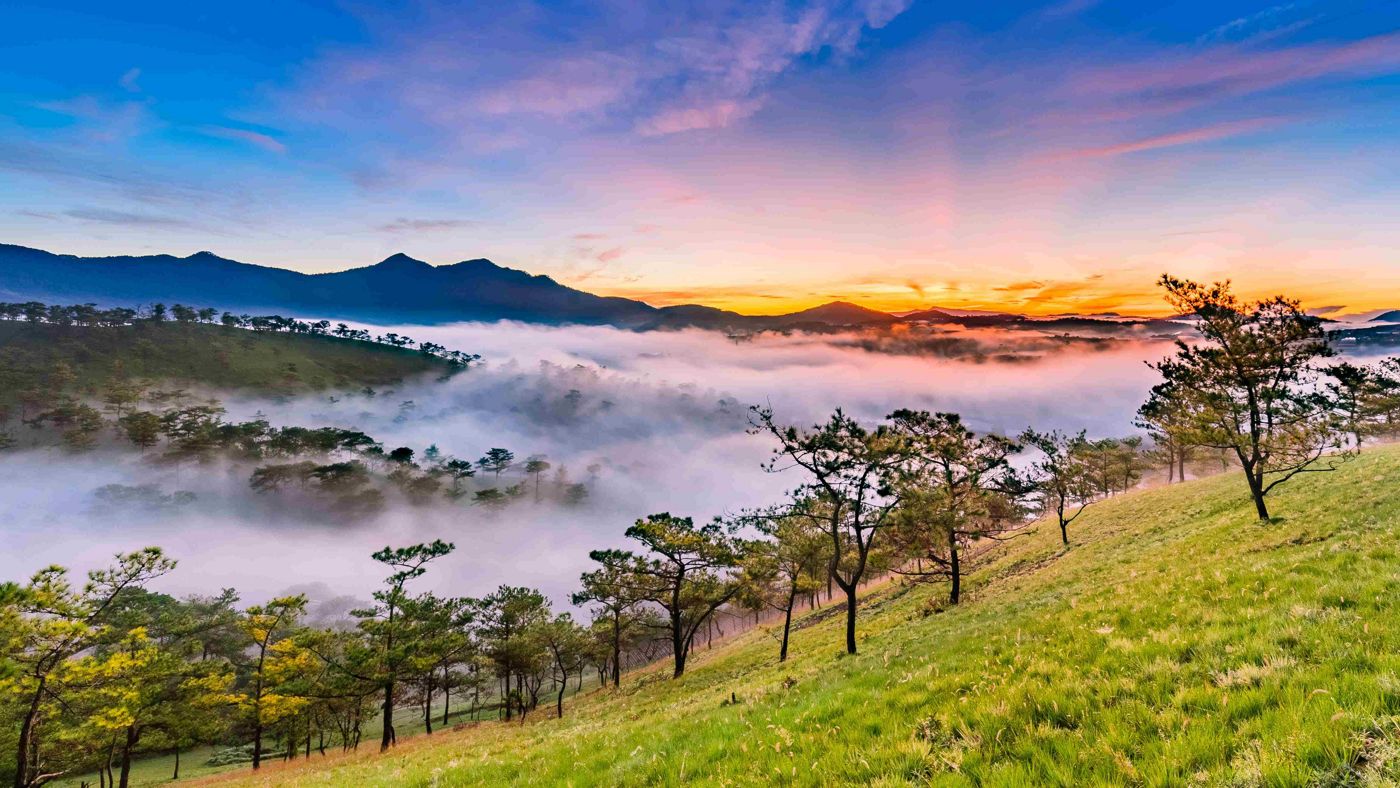 DA LAT TRAVEL GUIDE 2023 - All you need to know