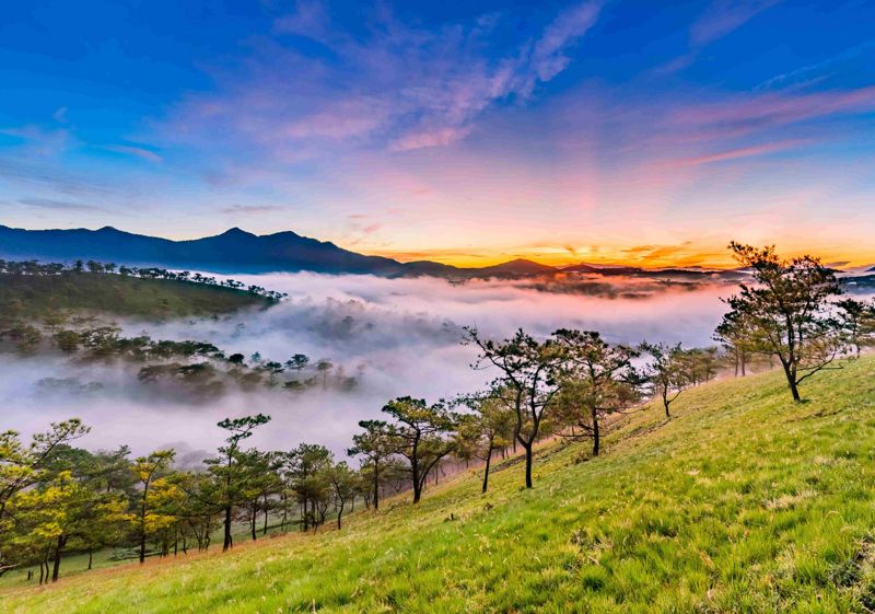 DA LAT TRAVEL GUIDE 2023 - All you need to know