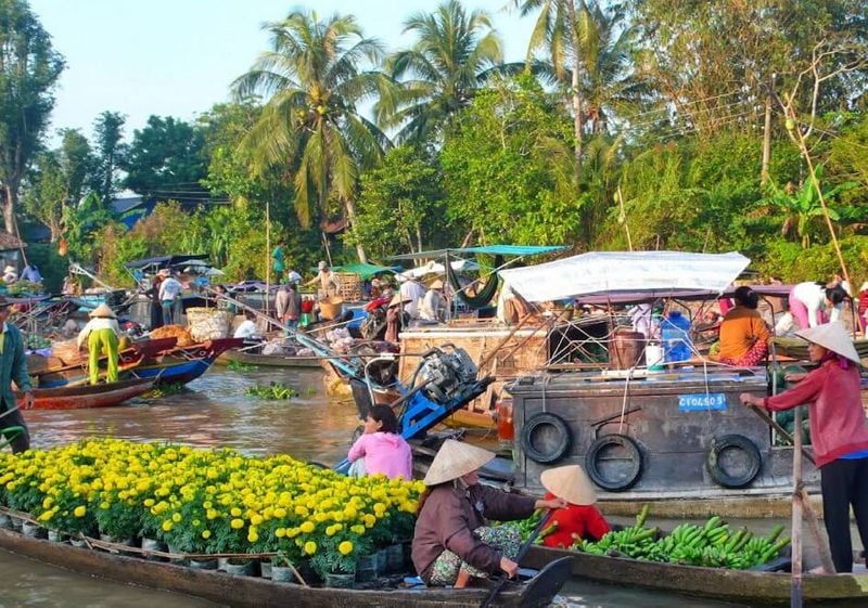 Popular place Discover the Charms of Cai Rang Floating Market
